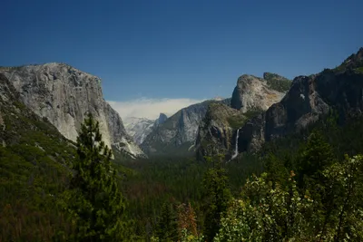 DSC_2352 (Large).JPG